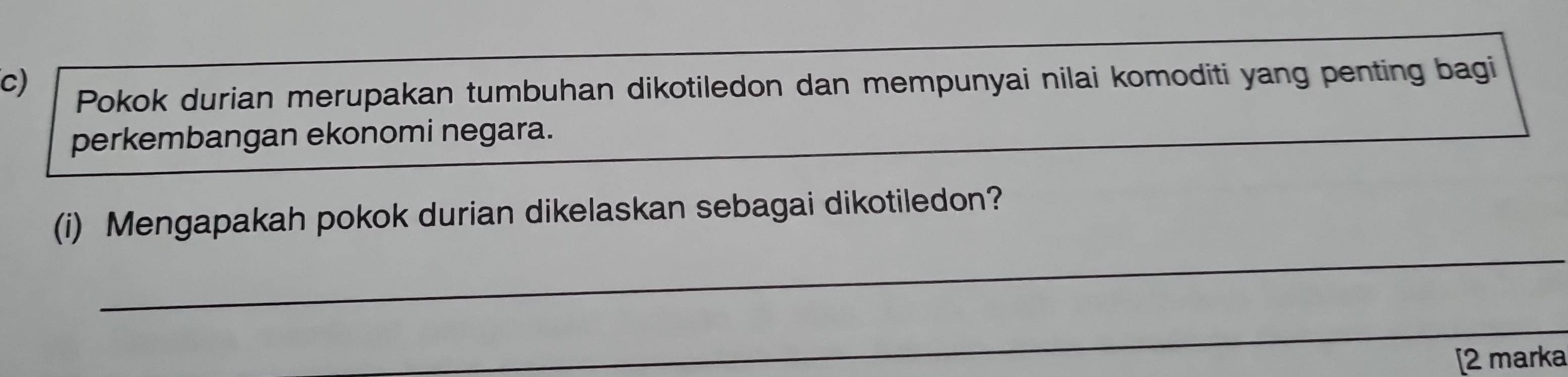 Pokok durian merupakan tumbuhan dikotiledon dan mempunyai nilai komoditi yang penting bagi 
perkembangan ekonomi negara. 
_ 
(i) Mengapakah pokok durian dikelaskan sebagai dikotiledon? 
_ 
[2 marka