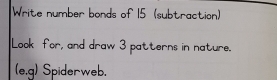 Write number bonds of 15 (subtraction) 
Look for, and draw 3 patterns in nature. 
(e,g) Spiderweb.