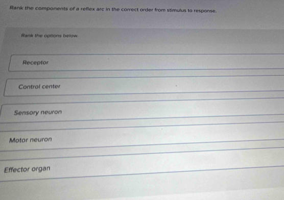 Solved: Rank the components of a reflex arc in the correct order from ...