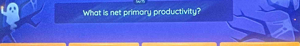 54/75 
What is net primary productivity?