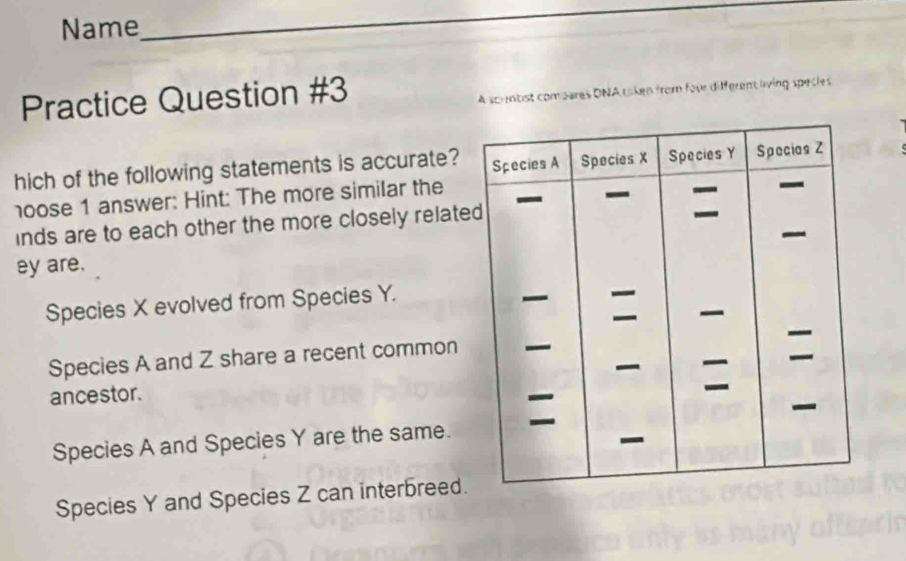 Name
_
Practice Question #3
A sc-tist compares DNA roken from four different liing species
hich of the following statements is accurate?
oose 1 answer: Hint: The more similar the
inds are to each other the more closely relate
ey are.
Species X evolved from Species Y.
Species A and Z share a recent common
ancestor.
Species A and Species Y are the same.
Species Y and Species Z can interbreed.