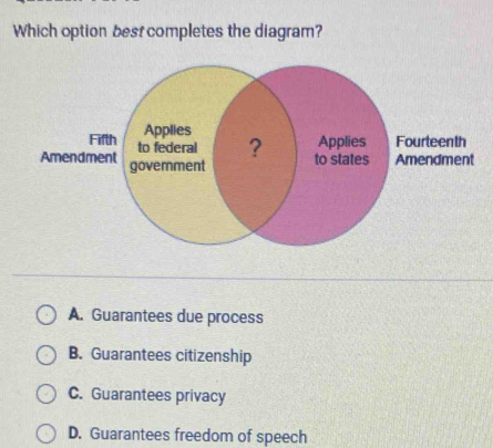 Which option best completes the diagram?
A. Guarantees due process
B. Guarantees citizenship
C. Guarantees privacy
D. Guarantees freedom of speech