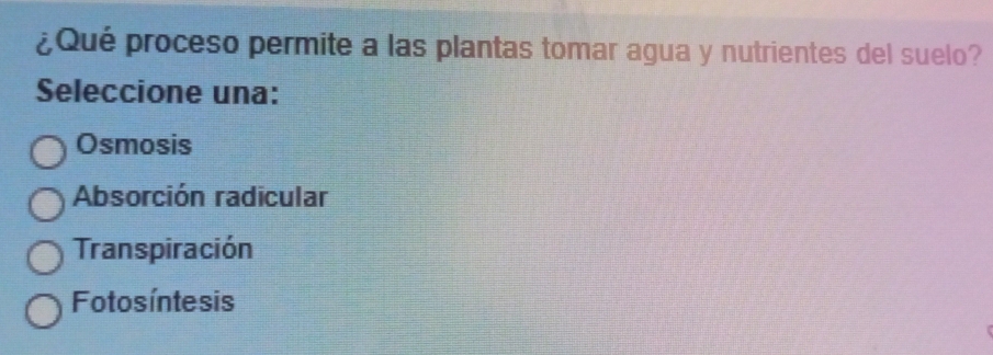 ¿Qué proceso permite a las plantas tomar agua y nutrientes del suelo?
Seleccione una:
Osmosis
Absorción radicular
Transpiración
Fotosíntesis