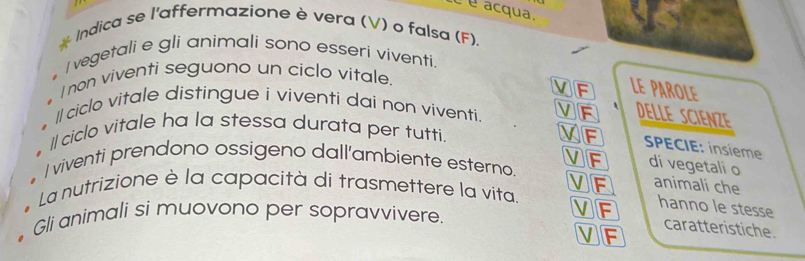 é é acqua.
* Indica se l'affermazione è vera (V) o falsa (F).
I vegetali e gli animali sono esseri viventi.
. I non viventi seguono un ciclo vitale.
LE PAROLE
. Il ciclo vitale distingue i viventi dai non viventi. ` DELLE SCIENZE
. Il ciclo vitale ha la stessa durata per tutti.
VF SPECIE: insième
. I viventi prendono ossigeno dall'ambiente esterno. VF di vegetali o
* La nutrizione è la capacità di trasmettere la vita VF animali che
• Gli animali si muovono per sopravvivere. VF
hanno le stesse
caratteristiche.
VF