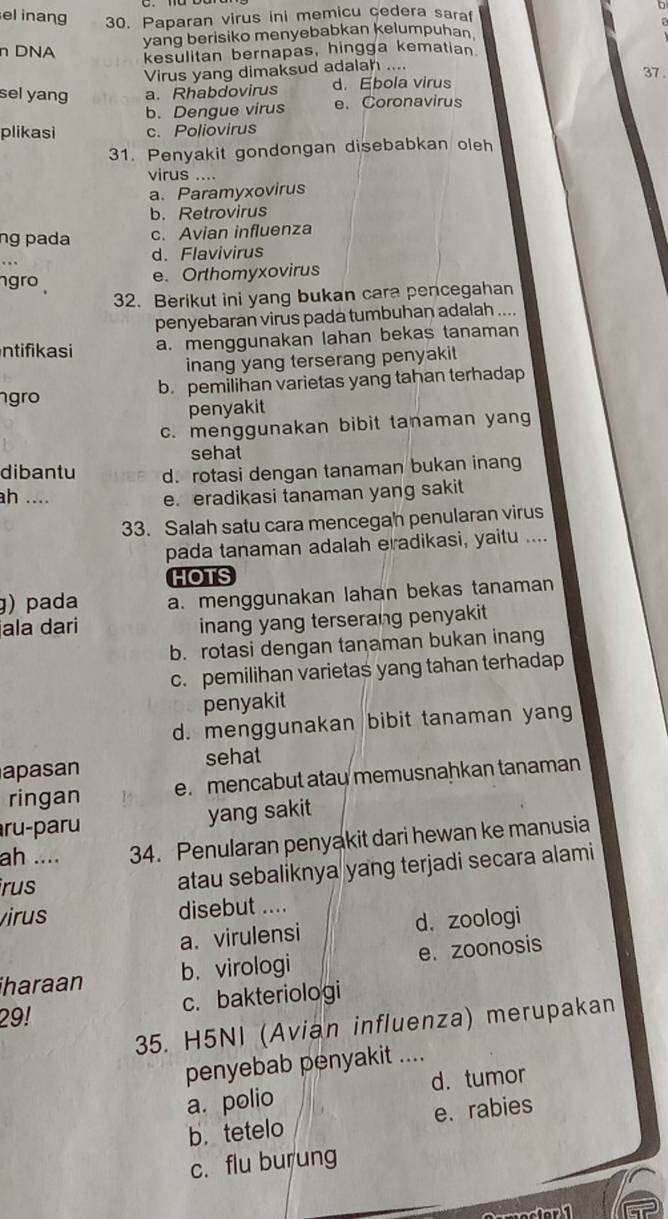 el inang 30. Paparan virus ini memicu cedera saraf
D
yang berisiko menyebabkan kelumpuhan
n DNA kesulitan bernapas, hingga kematian
Virus yang dimaksud adalah .... 37.
sel yang a. Rhabdovirus d. Ebola virus
b. Dengue virus e. Coronavirus
plikasi c. Poliovirus
31. Penyakit gondongan disebabkan oleh
virus ....
a. Paramyxovirus
b. Retrovirus
ng pada c. Avian influenza
d.Flavivirus
gro
e. Orthomyxovirus
32. Berikut ini yang bukan cara pencegahan
penyebaran virus pada tumbuhan adalah ....
ntifikasi a. menggunakan lahan bekas tanaman
inang yang terserang penyakit 
gro b. pemilihan varietas yang tahan terhadap
penyakit
c. menggunakan bibit tanaman yang
sehat
dibantu d. rotasi dengan tanaman bukan inang
ah ....
e. eradikasi tanaman yang sakit
33. Salah satu cara mencegah penularan virus
pada tanaman adalah eradikasi, yaitu ....
HOTS
ɡ) pada a. menggunakan lahan bekas tanaman
¡ala dari inang yang terserang penyakit
b. rotasi dengan tanaman bukan inang
c. pemilihan varietas yang tahan terhadap
penyakit
d. menggunakan bibit tanaman yang
apasan sehat
ringan e. mencabut atau memusnahkan tanaman
ru-paru yang sakit
ah .... 34. Penularan penyakit dari hewan ke manusia
irus atau sebaliknya yang terjadi secara alami
virus disebut ....
a. virulensi d. zoologi
iharaan b. virologi e. zoonosis
29! c. bakteriologi
35. H5NI (Avian influenza) merupakan
penyebab penyakit ....
a. polio d. tumor
b.tetelo e. rabies
c. flu burung