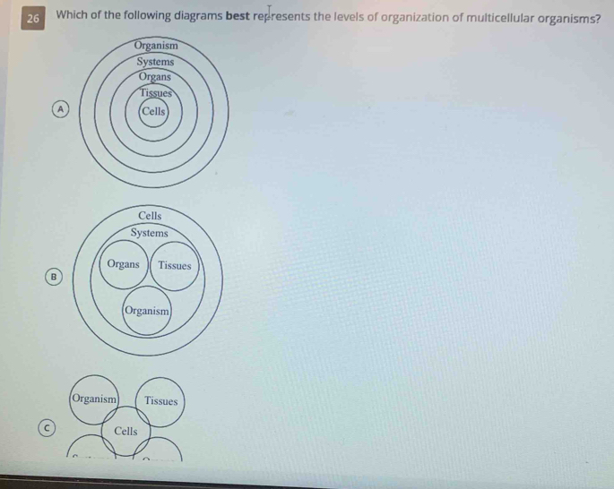 Which of the following diagrams best represents the levels of organization of multicellular organisms?
A
B
C