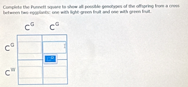 Complete the Punnett square to show all possible genotypes of the offspring from a cross 
between two eggplants: one with light-green fruit and one with green fruit.
C^G C^G
C^G
1
C^W