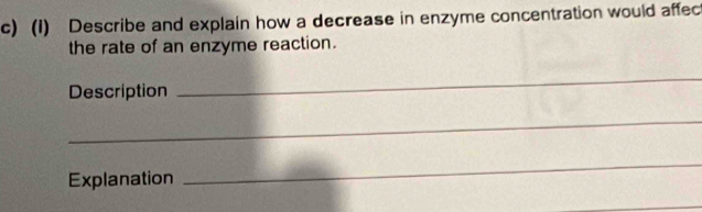 (1) Describe and explain how a decrease in enzyme concentration would affect 
the rate of an enzyme reaction. 
Description 
_ 
_ 
Explanation 
_ 
_