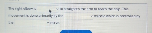 The right elbow is □° to straighten the arm to reach the chip. This 
movement is done primarily by the □ vee muscle which is controlled by 
the □ nerve.