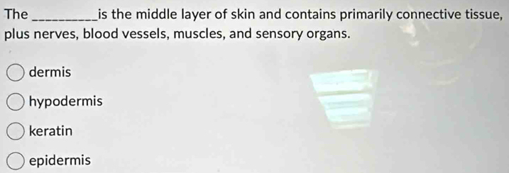 The _is the middle layer of skin and contains primarily connective tissue,
plus nerves, blood vessels, muscles, and sensory organs.
dermis
hypodermis
keratin
epidermis