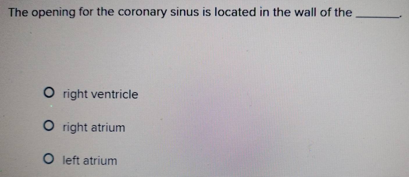 The opening for the coronary sinus is located in the wall of the_
right ventricle
right atrium
left atrium