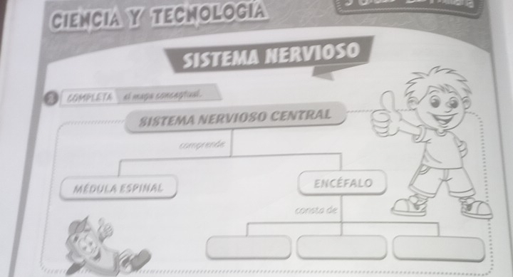 Ciencia y tecmología 
SISTEMA NERVIOSO 
a COMPLETA _ al maga concegtual. 
SISTEMA NERVIOSO CENTRAL 
comprende 
MéDULA ESPINAL ENCÉFALO 
consta de