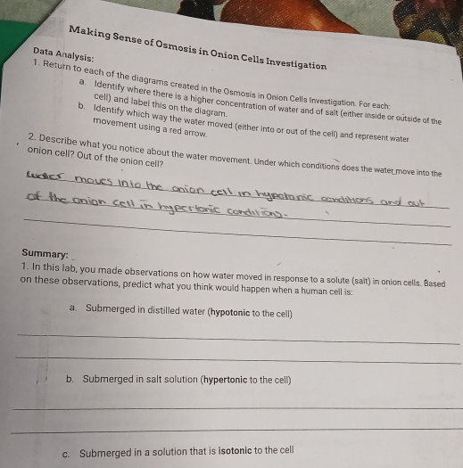 Making Sense of Osmosis in Onion Cells Investigation 
Data Analysis: 1. Return to each of the diagrams created in the Osmosis in Onion Cells Investigation. For each: 
a Identify where there is a higher concentration of water and of salt (either inside or outside of the 
cell) and label this on the diagram. 
b. Identify which way the water moved (either into or out of the cell) and represent water 
movement using a red arrow. 
2. Describe what you notice about the water movement. Under which conditions does the water move into the 
onion cell? Out of the onion cell? 
_ 
_ 
_ 
Summary: 
1. In this lab, you made observations on how water moved in response to a solute (salt) in onion cells. Based 
on these observations, predict what you think would happen when a human cell is: 
a. Submerged in distilled water (hypotonic to the cell) 
_ 
_ 
b. Submerged in salt solution (hypertonic to the cell) 
_ 
_ 
c. Submerged in a solution that is isotonic to the cell