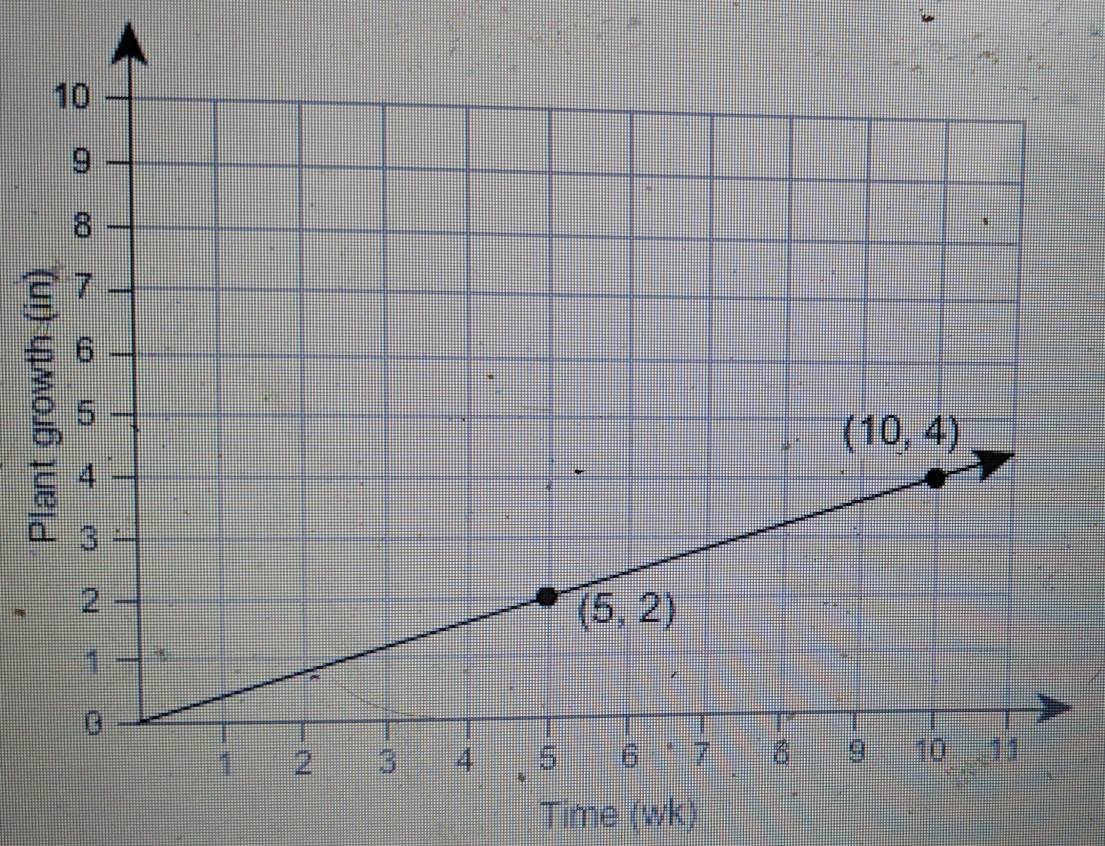 Time (wk)