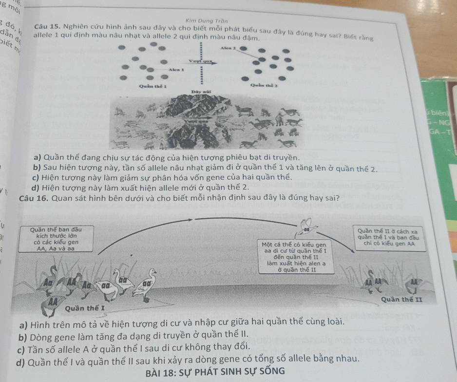 '6
g môi
Kim Dung Trần
đó, k
Câu 15. Nghiên cứu hình ảnh sau đây và cho biết mỗi phát biểu sau đây là đúng hay sai? Biết rằng
allele 1 qui định màu nâu nhạt và allele 2 qui định màu nâu đậm.
dẫn đ biết m
biên
- NG
GA-T
a) Quần thể đang chịu sự tác động của hiện tượng phiêu bạt di truyền.
b) Sau hiện tượng này, tần số allele nâu nhạt giảm đi ở quần thể 1 và tăng lên ở quần thể 2.
c) Hiện tượng này làm giảm sự phân hóa vốn gene của hai quần thể.
d) Hiện tượng này làm xuất hiện allele mới ở quần thể 2.
Câu 16. Quan sát hình bên dưới và cho biết mỗi nhận định sau đây là đúng hay sai?
a) Hình trên mô tả về hiện tượng di cư và nhập cư giữa hai quần thể cùng loài.
b) Dòng gene làm tăng đa dạng di truyền ở quần thể II.
c) Tần số allele A ở quần thể I sau di cư không thay đổi.
d) Quần thể I và quần thể II sau khi xảy ra dòng gene có tổng số allele bằng nhau.
Bài 18: sự phát sinh sự sống