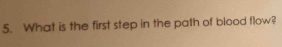 What is the first step in the path of blood flow?