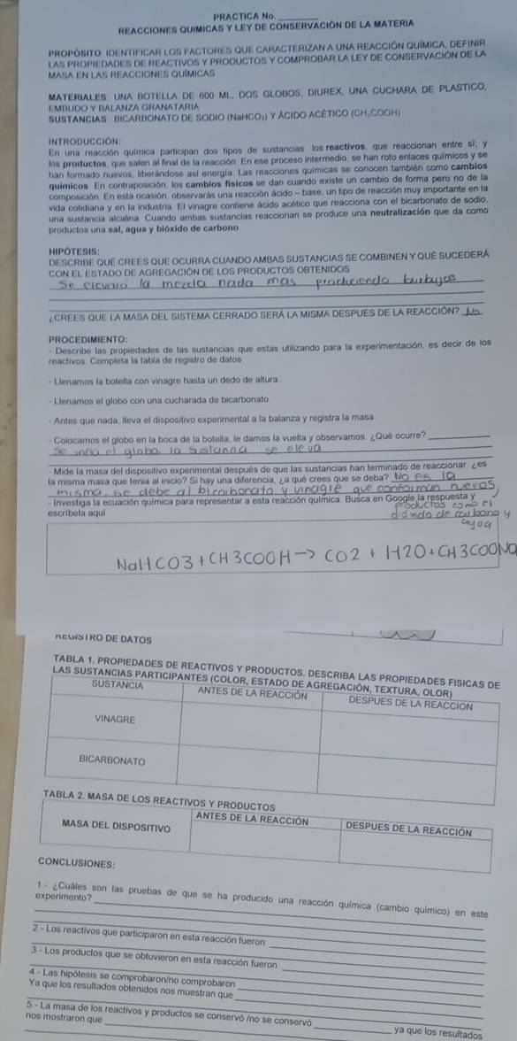 PRACTICA No
REACCIONES QUIMICAS Y LEY de COnSERVACIóN DE LA MATERIA
proPÓsITo IDENtificAr lOS fACtORES que CArACTERIzAN a una ReACCIÓN QuímiCa, DEFinIr.
LAS PROPIEDADES DE REACTIVOS Y PRODUCTOS Y COMPROBAR LA LEY DE CONSERVACIÓN DE LA
MASA EN LAS REACCIONES QUÍMICAS
MATERIALES UNA BOTELLA DE 600 ML. DOS GLOBOS, DIUREX, UNA CUCHARA DE PLASTICO,
EMBUDO Y BALANZA GRANATARIA
SUSTANCIAS BICARBONATO DE SODIO (NaHCO₃) Y ÁCIDO ACÉTICO (CH:COOH)
introducción:
En una reacción química participan dos tipos de sustancias los reactivos, que reaccionan entre sí, y
los productos, que salen al final de la reacción. En ese proceso intermedio, se han roto enlaces químicos y se
han formado nuevos, liberándose así energía. Las reacciones químicas se conocen también como cambíos
químicos. En contraposición, los cambios físicos se dan cuando existe un cambio de forma pero no de la
composición. En esta ocasión, observarás una reacción ácido - base, un tipo de reacción muy importante en la
vida cotidiana y en la industria. El vinagre contiene ácido acético que reacciona con el bicarbonato de sodio,
una sustancia alcalina. Cuando ambas sustancias reaccionan se produce una neutralización que da como
productos una sal, agua y bióxido de carbono
HIPOTESIS:
DESCRIBE QUÉ CREES QUE OCURRA CUANDO AMBAS SUSTANCIAS SE COMBINEN Y QUÉ SUCEDERA
_
CON EL ESTADO DE AGREGACIÓN DE LOS PRODUCTOS OBTENIDOS
_
_
CREEs que la Masa dEl sistEMa CERrado SEra la MISMA DespuEs de la RéACCIón? L
Describe las propiedades de las sustancias que estas utilizando para la experimentación, es decir de los
reactivos Completa la tabla de registro de datos
- LJenamos la botella con vinagre hasta un dedo de altura.
· Llenamos el globo con una cucharada de bicarbonato
Antes que nada, lleva el dispositivo experimental a la balanza y registra la masa
_
- Colocamos el globo en la boca de la botella, le damos la vuelta y observamos ¿Qué ocurre?_
_
Mide la masa del dispositivo expermental después de que las sustancias han terminado de reaccionar. Ze
_
la misma masa que tenia al inicio? Si hay una diferencia, ¿a qué crees que se deba?_
_
- Investiga la ecuación química para representar a esta reacción química. Busca e
escribela aqui
REGISTRO DE DATOS
TABLA 1. PROPIEDADES DE REACTIVOS Y PR
experimento?
_
_
1 - ¿Cuáles son las pruebas de que se ha producido una reacción química (cambio químico) en este
_
_
2 - Los reactivos que participaron en esta reacción fueron
_
_
3 - Los productos que se obtuvieron en esta reacción fueron
4 - Las hipótesis se comprobaron/no comprobaror
_
_
Ya que los resultados obtenidos nos muestran que_
5 - La masa de los reactivos y productos se conservó /no se conservó
_nos mostraron que_ _ya que los resultados