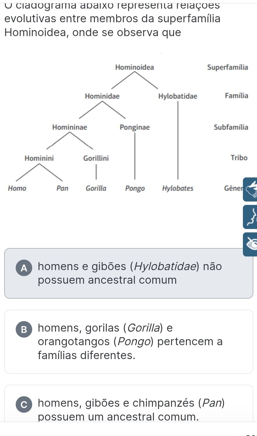 cladograma apaixo representa relações
evolutivas entre membros da superfamília
Hominoidea, onde se observa que
A) homens e gibões (Hylobatidae) não
possuem ancestral comum
B)homens, gorilas (Gorilla) e
orangotangos (Pongo) pertencem a
famílias diferentes.
c) homens, gibões e chimpanzés (Pan)
possuem um ancestral comum.