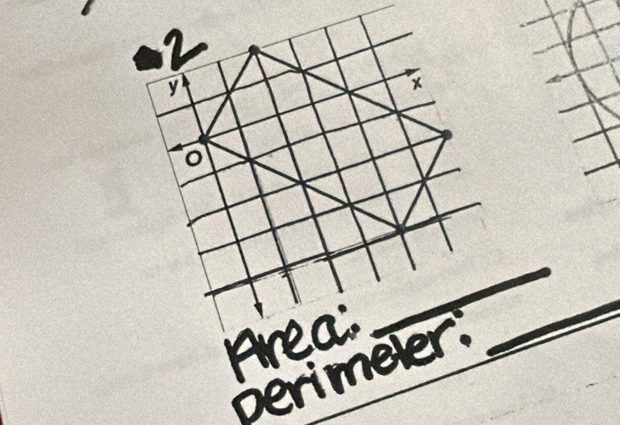 Area: 
_ 
perimeter: 
_