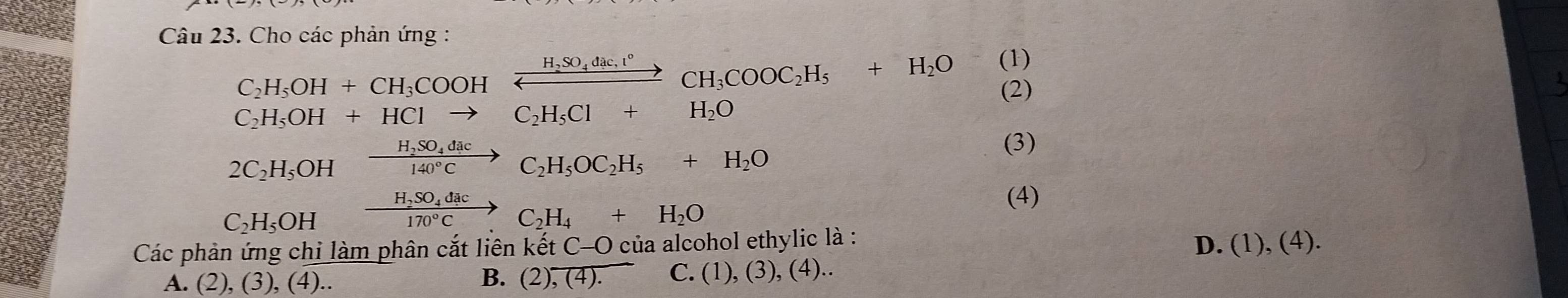 Cho các phản ứng :
C_2H_5OH+CH_3COOHxrightarrow H_2SO_4dac,l°CH_3COOC_2H_5+H_2O (1)
(2)
C_2H_5OH+HClto C_2H_5Cl+H_2O
2C_2H_5OHxrightarrow H_2SO_4dacC_2H_5OC_2H_5+H_2O (3)
C_2H_5OHxrightarrow H_2SO_4dacC_2H_4+H_2O
(4)
D.
Các phản ứng chỉ làm phân cắt liên kết C-C O của alcohol ethylic là : (1),(4).
A. (2), (3), (4)..
B. (2),(4). C. (1),(3),(4)..