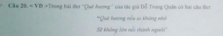 Câu 20. Trong bải thơ ''Quê hương'' của tác giả Đỗ Trung Quân có hai câu thơ: 
*Quê hương nếu ai không nhớ 
Sẽ không lớn nổi thành người''