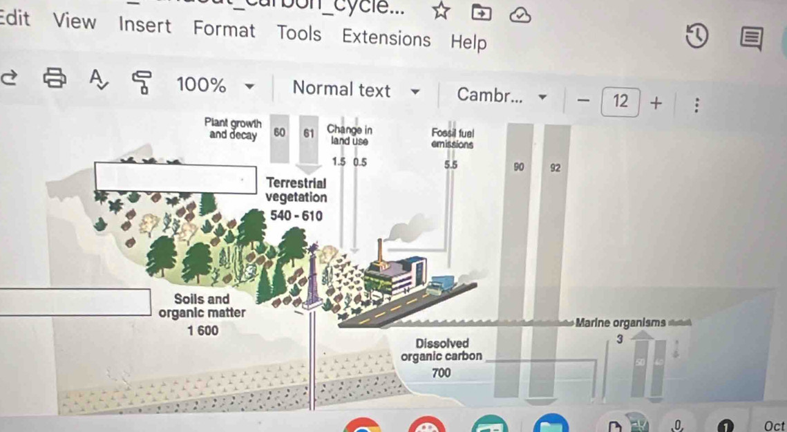 tcarbon_cycle... 
Edit View Insert Format Tools Extensions Help
100% Normal text 
A Cambr... 
0 Oct