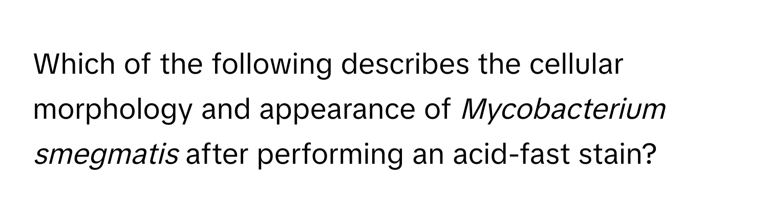 Which of the following describes the cellular morphology and appearance of *Mycobacterium smegmatis* after performing an acid-fast stain?