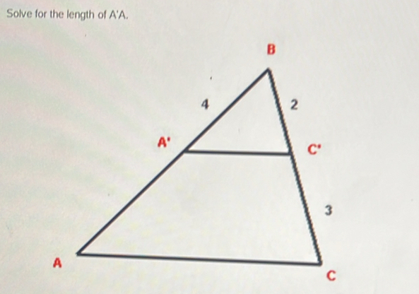 Solve for the length of A'A.