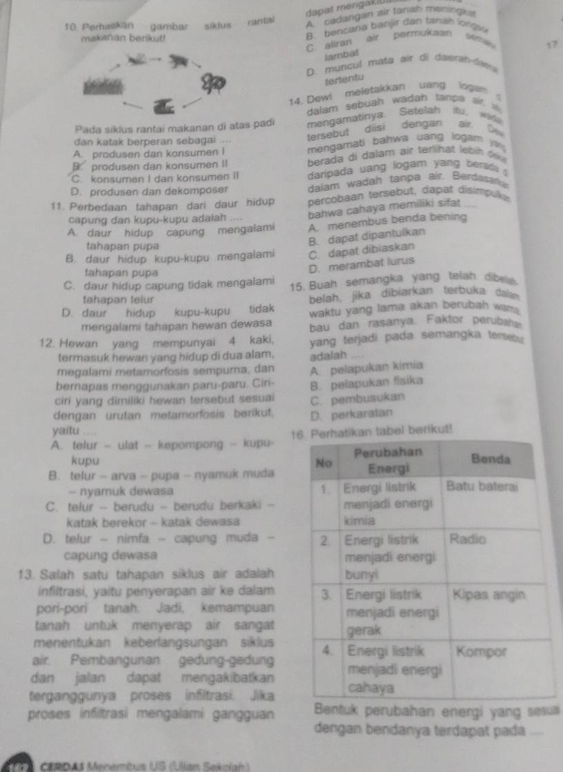 dapat mengak
10. Perhaekan gambar siklus rantai
A. cadangan air tanah meningia
makanan berikut!
B. bencafa banjir dan tanah lorgi
C. aliran air permukaan
17
lambal
D. muncul mata air di daerah-dae
tertentu
14. Dewi meletakkan uang lngam 
dalam sebuah wadah fanpa air  w .
Pada siklus rantai makanan di atas padi mengamatinya. Setelah ifu. wad
dan katak berperan sebagai .... tersebut diisi dangan air De
A. produsen dan konsumen I mengamati bahwa uang iogam
B produsen dan konsumen II  herada di dalam air terlihat lebin  de
C. konsumen I dan konsumen II daripada uang logam yang berads
D. produsen dan dekomposer dalam wadah tanpa air. Berdasara
11 Perbedaan tahapan dari daur hidup percobaan tersebut, dapat disimpuke
capung dan kupu-kupu adalah .... bahwa cahaya memiliki sifat
A. daur hidup capung mengalami A. menembus benda bening
tahapan pupa
B. dapat dipantulkan
B. daur hidup kupu-kupu mengalami C. dapat dibiaskan
tahapan pupa
D. merambat lurus
C. daur hidup capung tidak mengalami 15. Buah semangka yang telah dibe
tahapan telur belah, jika dibiarkan terbuka dalam
D. daur hidup kupu-kupu tidak waktu yang lama akan berubah wars.
mengalami tahapan hewan dewasa bau dan rasanya. Faktor perubaha
12. Hewan yang mempunyai 4 kaki, yang terjadi pada semangka tersebu 
termasuk hewan yang hidup di dua alam, adalah ....
megalami metamorfosis sempurna, dan
bernapas menggunakan paru-paru. Ciri- A. pelapukan kimia
B. pelapukan fisika
ciri yang dimiliki hewan tersebut sesuai C. pembusukan
dengan urutan metamorfosis berikut. D. perkaratan
yaitu ....
A. telur -- ulat -- kepompong -- kupu- 1 tabel berikut!
kupu
B. telur - arva - pupa - nyamuk muda
-- nyamuk dewasa
C. telur - berudu - berudu berkaki -
katak berekor - katak dewasa
D. telur - nimfa - capung muda -
capung dewasa 
13. Salah satu tahapan siklus air adalah
infiltrasi, yaitu penyerapan air ke daiam
pori-pori tanah. Jadi, kemampuan
tanah untuk menyerap air sangat
menentukan keberlangsungan siklus
air. Pembangunan gedung-gedung
dan jalan dapat mengakibatkan
terganggunya proses infitrasi. Jika
proses infiltrasi mengalami gangguan Bentuk perubahan energi yang sesuli
dengan bendanya terdapat pada_
CERDA Menemius US (lian Setria