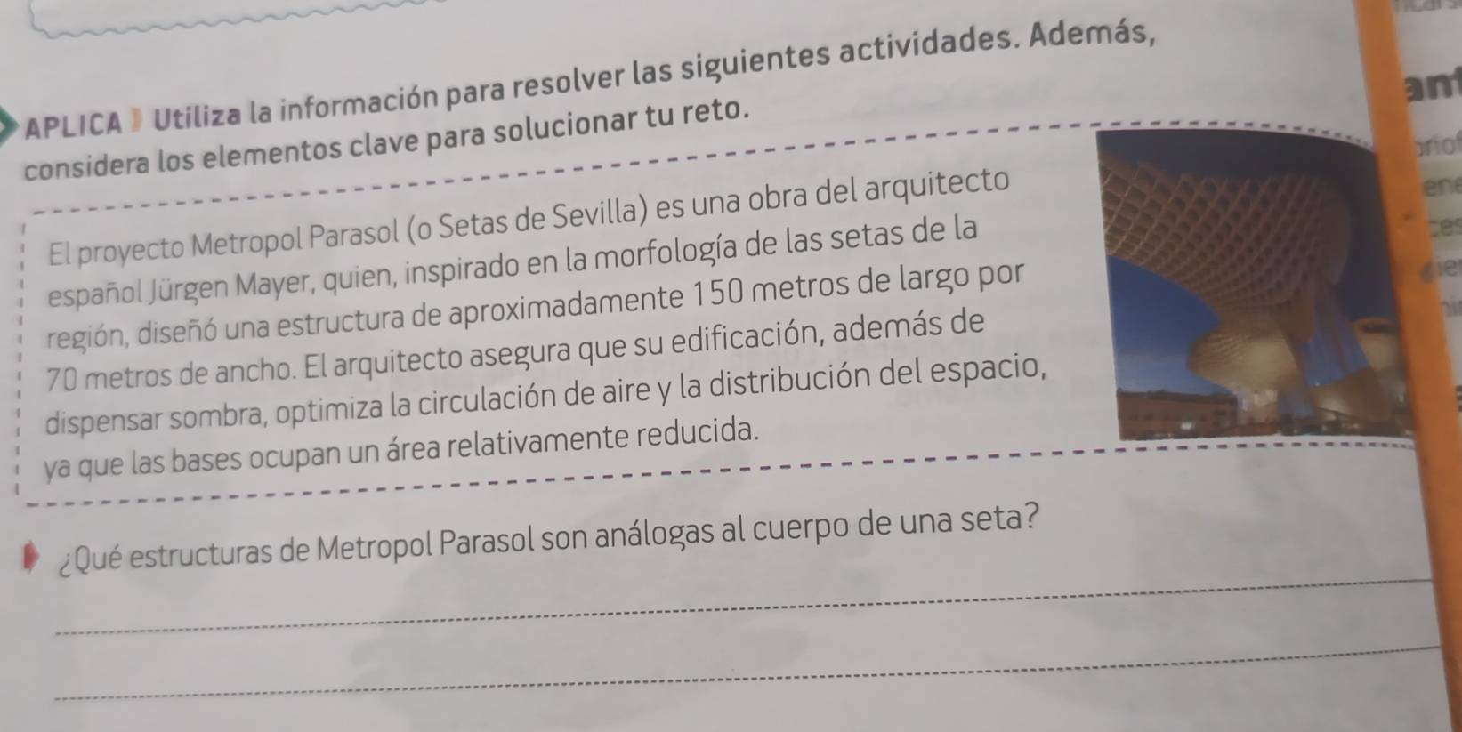 APLICA » Utiliza la información para resolver las siguientes actividades. Además, 
considera los elementos clave para solucionar tu reto. ant 
priof 
El proyecto Metropol Parasol (o Setas de Sevilla) es una obra del arquitecto 
en 
español Jürgen Mayer, quien, inspirado en la morfología de las setas de la 
te 
degión, diseñó una estructura de aproximadamente 150 metros de largo por 
ie
70 metros de ancho. El arquitecto asegura que su edificación, además de 
dispensar sombra, optimiza la circulación de aire y la distribución del espacio, 
ya que las bases ocupan un área relativamente reducida. 
_ 
¿Qué estructuras de Metropol Parasol son análogas al cuerpo de una seta? 
_