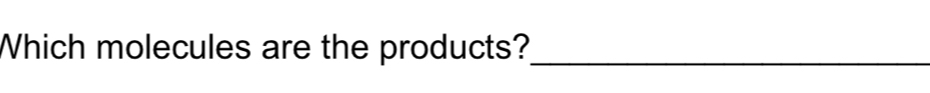 Which molecules are the products?_