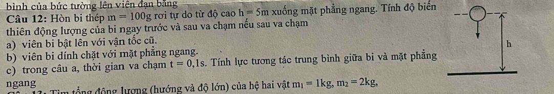 bình của bức tường lên viên đạn băng 
Câu 12: Hòn bi thép m=100g rơi tự do từ độ caoh=5m xuống mặt phẳng ngang. Tính độ biến 
thiên động lượng của bi ngay trước và sau va chạm nếu sau va chạm 
a) viên bi bật lên với vận tốc cũ. 
b) viên bi dính chặt với mặt phẳng ngang. 
c) trong câu a, thời gian va chạm t=0, 1s. Tính lực tương tác trung bình giữa bi và mặt phẳng 
ngang ổ ng động lượng (hướng và độ lớn) của hệ hai vật m_1=1kg, m_2=2kg,