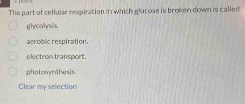 The part of cellular respiration in which glucose is broken down is called
glycolysis.
aerobic respiration.
electron transport.
photosynthesis.
Clear my selection