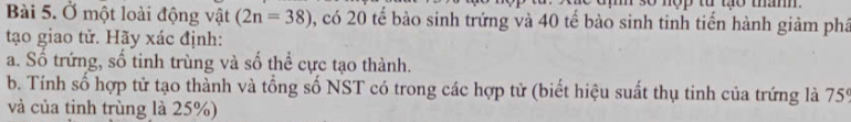 dm số nộp từ tạo tham. 
Bài 5. Ở một loài động vật (2n=38) 0, có 20 tế bào sinh trứng và 40 tế bào sinh tinh tiến hành giảm phâ 
tạo giao tử. Hãy xác định: 
a. Số trứng, số tinh trùng và số thể cực tạo thành. 
b. Tính số hợp tử tạo thành và tổng số NST có trong các hợp tử (biết hiệu suất thụ tinh của trứng là 759
và của tinh trùng là 25%)