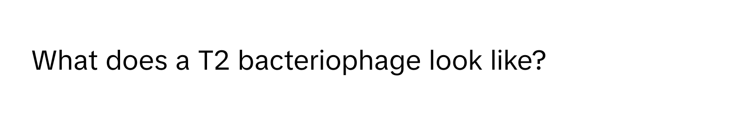 What does a T2 bacteriophage look like?