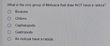 What is the only group of Mollusca that does NOT have a radula?
Bivalves
Chitons
Cephalopods
Gastropods
Ail mollusk have a racula.