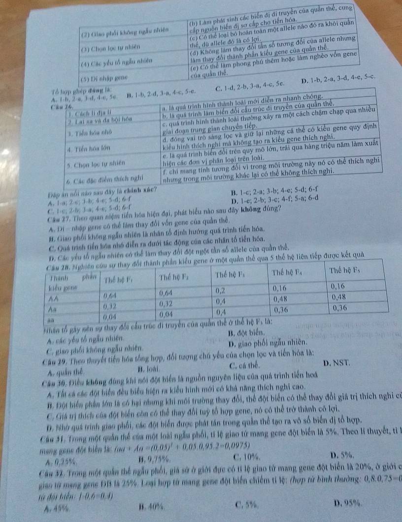 Đập ân nổi não sau đây là chí
A. 1-a; 2-c; 3-b; 4-e; 5-d; 6-f B. 1-c; 2-a; 3-b; 4
C. 1-c; 2-b; 3-a; 4-e; 5-d; 6-f D. 1-e;2-b;3-c;4 -f; 5-a; 6-d
Câu 27. Theo quan niệm tiền hóa hiện đại, phát biểu nào sau đãy không đúng?
A. Di - nhập gene có thể làm thay đổi vốn gene của quần thể.
I Giao phối không ngẫu nhiên là nhân tổ định hướng quá trình tiền hóa,
C. Quá trình tiền hóa nhó diễn ra đưới tác động của các nhân tổ tiến hóa,
D. Các yếu tổ ngẫu nhiên có thể làm thay đổi đột ngột tần số allele của quần thể,
quần thể qua 5 thế hệ liên tiếp được kết quả
Nhân tổ gây nên sự thay đối cầu
A các yếu tổ ngẫu nhiên B. đột biển.
C. giao phối không ngẫu nhiên D. giao phối ngẫu nhiên.
Cầu 29. Theo thuyết tiến hóa tổng hợp, đổi tượng chú yếu của chọn lọc và tiến hóa là:
A. quân thê B. loái C. cá thể. D. NST.
Câu 30. Điều không đùng khi nói đột biển là nguồn nguyên liệu của quá trình tiền hoá
A. Tất cá các đột biển đều biểu hiện ra kiểu hình mới có khả năng thích nghỉ cao.
B. Đột biển phần lớn là có hại nhưng khi môi trường thay đổi, thể đột biển có thể thay đổi giá trị thích nghỉ củ
C. Giá trị thích của đột biển còn có thể thay đổi tuỷ tổ hợp gene, nó có thể trở thành có lợi,
D. Nhờ quá trình giao phối, các đột biển được phát tán trong quần thể tạo ra vô số biển dị tổ hợp.
Cầu 31. Trong một quân thể của một loài ngẫu phối, tỉ lệ giao tứ mang gene đột biển là 5%. Theo lí thuyết, ti B
mang gene đột hiện là: fou+Aa=(0.05)^2+0.05,0.95.2-0,0975)
A. 0.25%, B. 9.75%. C. 10%. D. 5%.
Cău 32. Trong một quần thể ngẫu phối, giá sử ở giới đực có tỉ lệ giao tử mang gene đột biển là 20%, ở giới c
giao từ mạng gene DB là 25%. Loại hợp tử mang gene đột biển chiếm tỉ lệ: (hợp rừ bình thường: 0,8,0,75=0
t à đội biển 1-0.6=0.4)
A. 45% B. 40%. C. 5%, D. 95%.