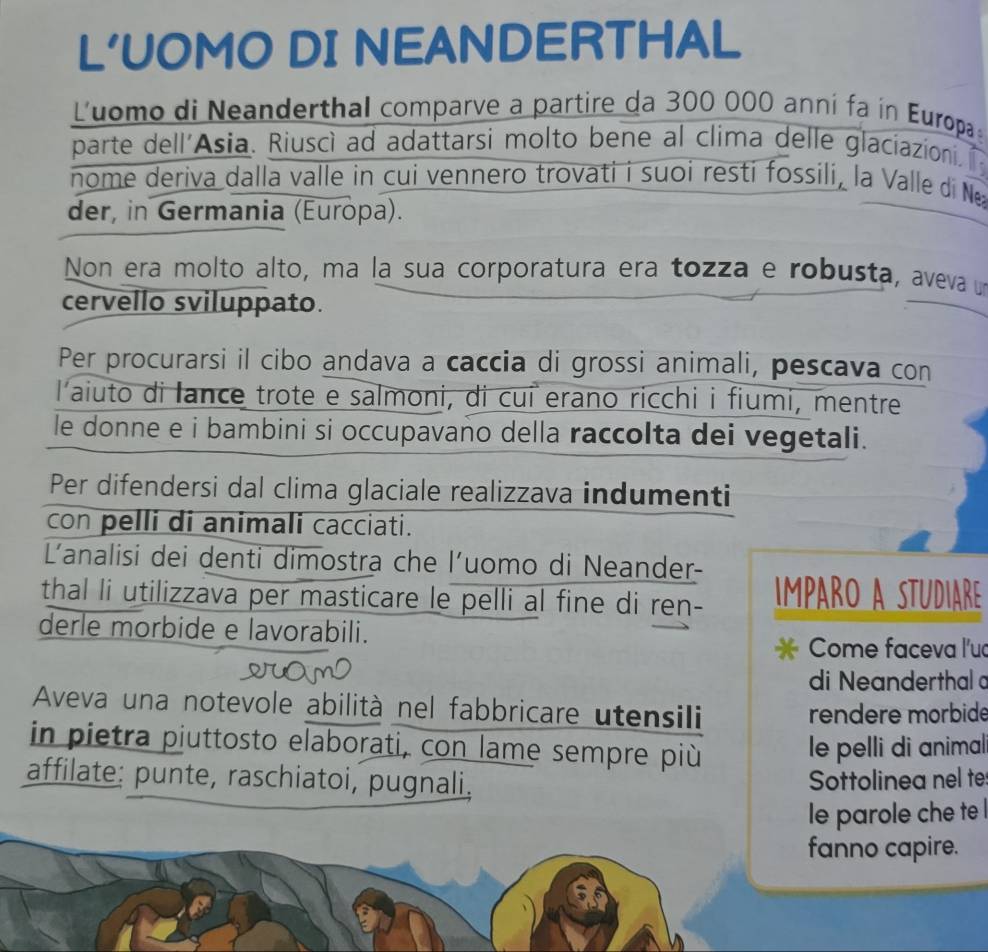 L’UOMO DI NEANDERTHAL 
Luomo di Neanderthal comparve a partire da 300 000 anní fa in Europa 
parte dell'Asia. Riuscì ad adattarsi molto bene al clima delle glaciazioni. 
nome deriva dalla valle in cui vennero trovati i suoi resti fossíli, la Valle di N 
der, in Germania (Europa). 
Non era molto alto, ma la sua corporatura era tozza e robusta, aveva u 
cervello sviluppato. 
Per procurarsi il cibo andava a caccia di grossi animali, pescava con 
l aiuto di lance trote e salmoni, di cuí erano ricchi i fiumi, mentre 
le donne e i bambini si occupavano della raccolta dei vegetali. 
Per difendersi dal clima glaciale realizzava indumenti 
con pelli di animali cacciati. 
Lanalisi dei denti dimostra che l’uomo di Neander- 
thal li utilizzava per masticare le pelli al fine di ren- Imparo a studiare 
derle morbide e lavorabili. 
* Come faceva l'uc 
di Neanderthal 
Aveva una notevole abilità nel fabbricare utensili rendere morbide 
in pietra piuttosto elaborati, con lame sempre più 
le pelli di animal 
affilate: punte, raschiatoi, pugnali. 
Sottolinea nel te 
le parole che te 
fanno capire.