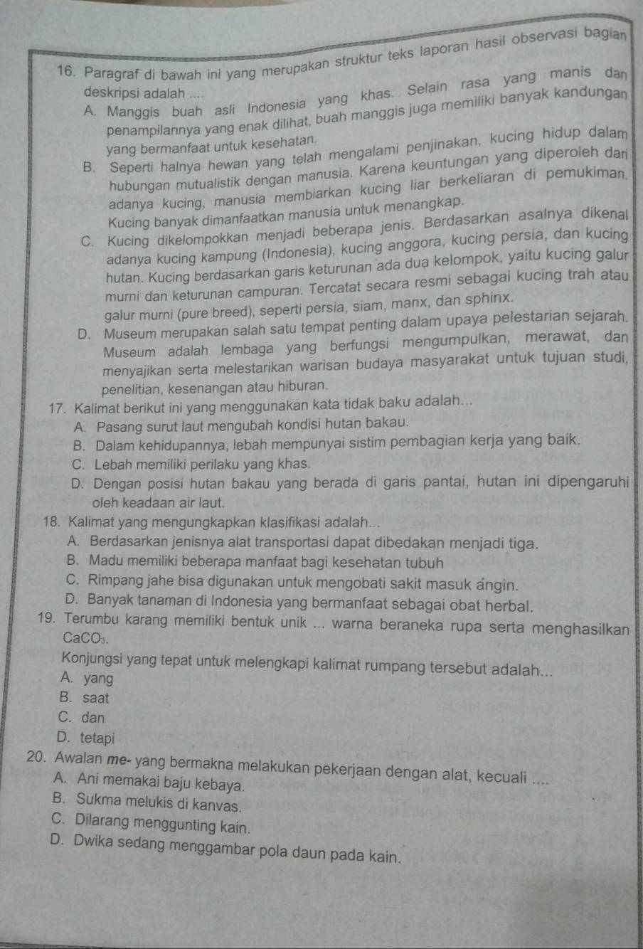 Paragraf di bawah ini yang merupakan struktur teks laporan hasil observasi bagian
A. Manggis buah asli Indonesia yang khas. Selain rasa yang manis dan
deskripsi adalah ....
penampilannya yang enak dilihat, buah manggis juga memiliki banyak kandungan
yang bermanfaat untuk kesehatan.
B. Seperti halnya hewan yang telah mengalami penjinakan, kucing hidup dalam
hubungan mutualistik dengan manusia. Karena keuntungan yang diperoleh dar
adanya kucing, manusia membiarkan kucing liar berkeliaran di pemukiman.
Kucing banyak dimanfaatkan manusia untuk menangkap.
C. Kucing dikelompokkan menjadi beberapa jenis. Berdasarkan asalnya dikenal
adanya kucing kampung (Indonesia), kucing anggora, kucing persia, dan kucing
hutan. Kucing berdasarkan garis keturunan ada dua kelompok, yaitu kucing galur
murni dan keturunan campuran. Tercatat secara resmi sebagai kucing trah atau
galur murni (pure breed), seperti persia, siam, manx, dan sphinx.
D. Museum merupakan salah satu tempat penting dalam upaya pelestarian sejarah.
Museum adalah lembaga yang berfungsi mengumpulkan, merawat, dan
menyajikan serta melestarikan warisan budaya masyarakat untuk tujuan studi,
penelitian, kesenangan atau hiburan.
17. Kalimat berikut ini yang menggunakan kata tidak baku adalah...
A. Pasang surut laut mengubah kondisi hutan bakau.
B. Dalam kehidupannya, lebah mempunyai sistim pembagian kerja yang baik.
C. Lebah memiliki perilaku yang khas.
D. Dengan posisi hutan bakau yang berada di garis pantai, hutan ini dipengaruhi
oleh keadaan air laut.
18. Kalimat yang mengungkapkan klasifikasi adalah...
A. Berdasarkan jenisnya alat transportasi dapat dibedakan menjadi tiga.
B. Madu memiliki beberapa manfaat bagi kesehatan tubuh
C. Rimpang jahe bisa digunakan untuk mengobati sakit masuk angin.
D. Banyak tanaman di Indonesia yang bermanfaat sebagai obat herbal.
19. Terumbu karang memiliki bentuk unik ... warna beraneka rupa serta menghasilkan
CaCO_3.
Konjungsi yang tepat untuk melengkapi kalimat rumpang tersebut adalah...
A. yang
B. saat
C. dan
D. tetapi
20. Awalan me- yang bermakna melakukan pekerjaan dengan alat, kecuali ....
A. Ani memakai baju kebaya.
B. Sukma melukis di kanvas.
C. Dilarang menggunting kain.
D. Dwika sedang menggambar pola daun pada kain.