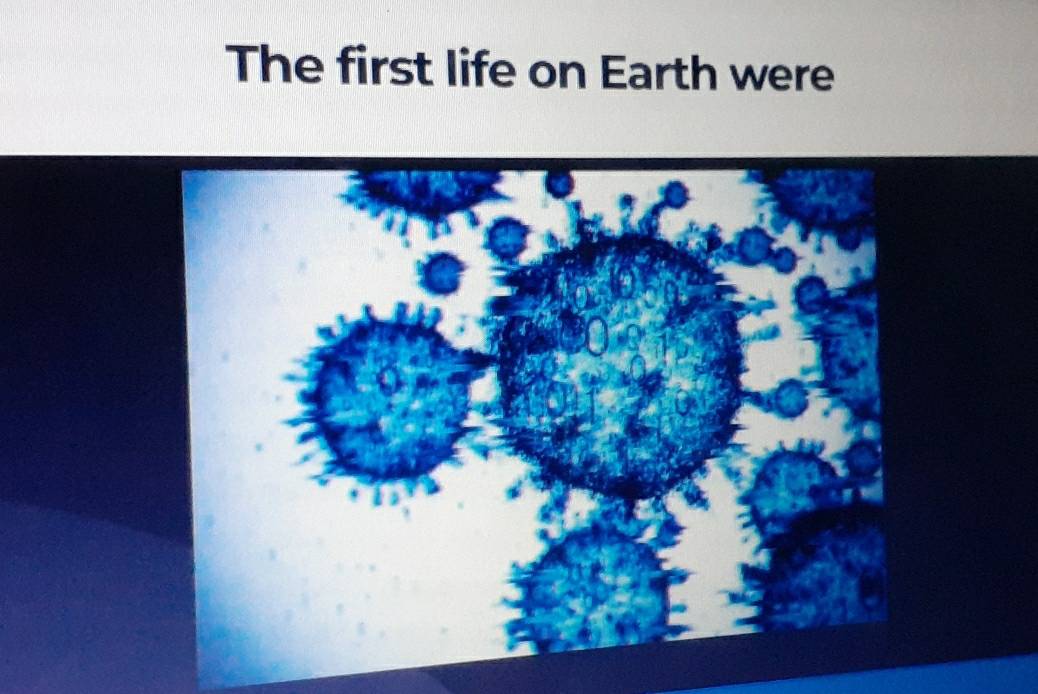 The first life on Earth were