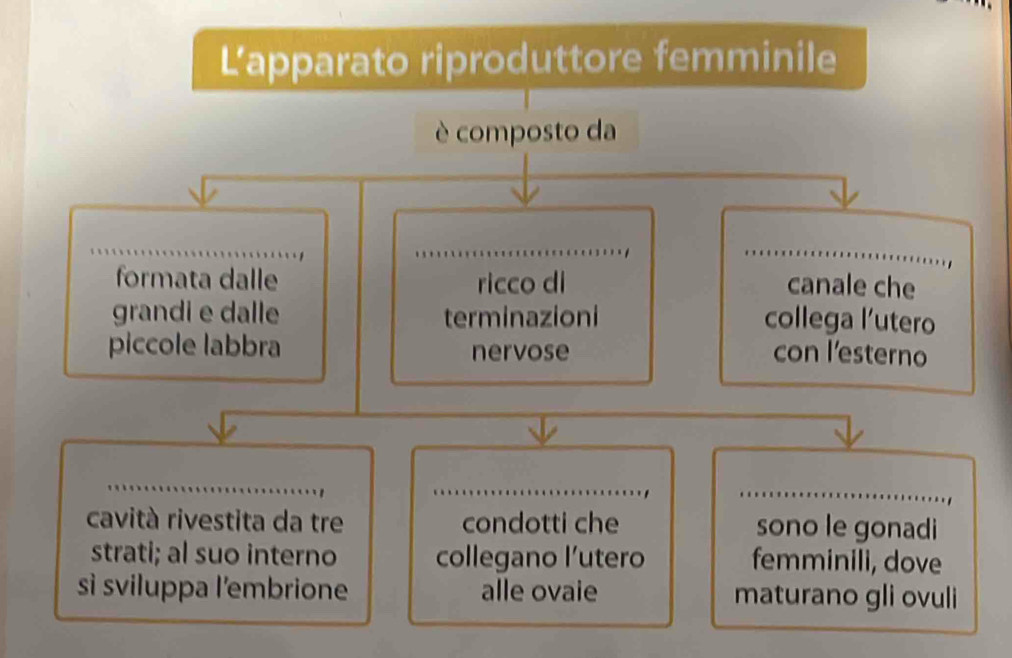 L’apparato riproduttore femminile 
è composto da 
_ 
__ 
formata dalle ricco di canale che 
grandi e dalle terminazioni collega l’utero 
piccole labbra nervose con l'esterno 
_ 
_ 
_ 
cavità rivestita da tre condotti che sono le gonadi 
strati; al suo interno collegano l’utero femminili, dove 
sì sviluppa l'embrione alle ovaie maturano gli ovuli