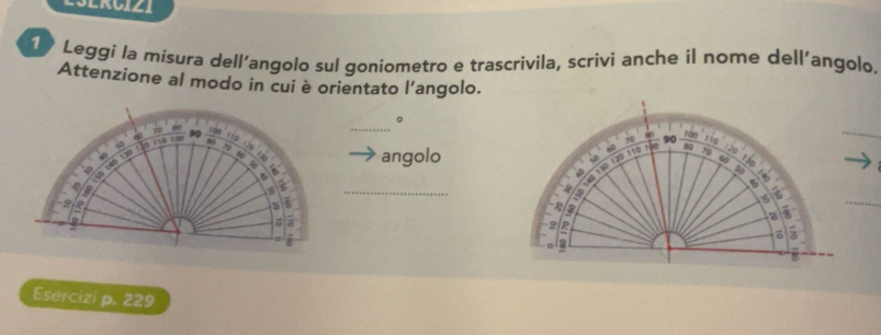 Risolto:LSERUIZI 10 Leggi la misura dell’angolo sul goniometro e ...