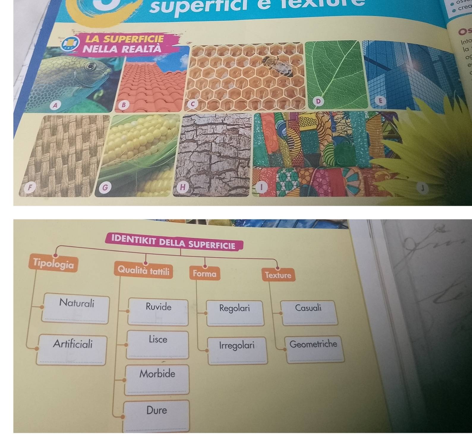 superfici 
crea 
Os 
LA SUPERFICIE 
Into 
NELLA REALTA la 
e 
A 
B 
F 
G 
IDENTIKIT DELLA SUPERFICIE 
Tipologia Qualità tattili Forma 
Texture 
Naturali Ruvide Casuali 
_ 
Regolari 
_ 
_ 
_ 
Lisce 
_ 
Artificiali Irregolari Geometriche 
_ 
_ 
_ 
Morbide 
_ 
Dure 
_