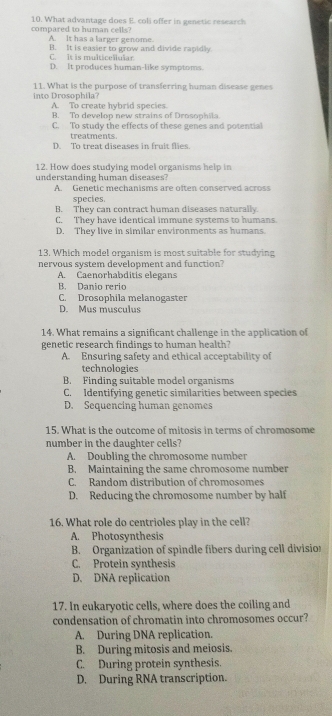 compared to human cells? 10. What advantage does E. coli offer in genetic research
A. It has a larger genome.
B. It is easser to grow and divide rapidly
C. It is multicellular
D. It produces human-like symptoms.
into Drosophila? 11. What is the purpose of transferring human disease genes
A. To create hybrid species.
B. To develop new strains of Drosophila
C. To study the effects of these genes and potential
treatments.
D. To treat diseases in fruit flies.
12. How does studying model organisms help in
understanding human diseases?
A. Genetic mechanisms are often conserved across
species
B. They can contract human diseases naturally.
C. They have identical immune systems to humans
D. They live in similar environments as humans.
13. Which model organism is most suitable for studying
nervous system development and function?
A. Caenorhabditis elegans
B. Danio rerio
C. Drosophila melanogaster
D. Mus musculus
14. What remains a significant challenge in the application of
genetic research findings to human health?
A. Ensuring safety and ethical acceptability of
technologies
B. Finding suitable model organisms
C. Identifying genetic similarities between species
D. Sequencing human genomes
15. What is the outcome of mitosis in terms of chromosome
number in the daughter cells?
A. Doubling the chromosome number
B. Maintaining the same chromosome number
C. Random distribution of chromosomes
D. Reducing the chromosome number by half
16. What role do centrioles play in the cell?
A. Photosynthesis
B. Organization of spindle fibers during cell division
C. Protein synthesis
D. DNA replication
17. In eukaryotic cells, where does the coiling and
condensation of chromatin into chromosomes occur?
A. During DNA replication.
B. During mitosis and meiosis.
C. During protein synthesis.
D. During RNA transcription.