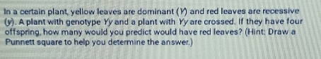 In a certain plant, yellow leaves are dominant (Y) and red leaves are recessive 
(y). A plant with genotype Yy and a plant with Yy are crossed. If they have four 
offspring, how many would you predict would have red leaves? (Hint: Draw a 
Punnett square to help you determine the answer.)