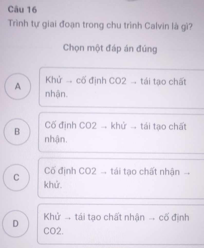 Trình tự giai đoạn trong chu trình Calvin là gì?
Chọn một đáp án đúng
A
Khử → cố định CO2 → tái tạo chất
nhận.
Cố định CO2 - khử - tái tạo chất
B
nhận.
C
Cố định CO2 → tái tạo chất nhận
khử.
D
Khử → tái tạo chất nhận → cố định
CO2.