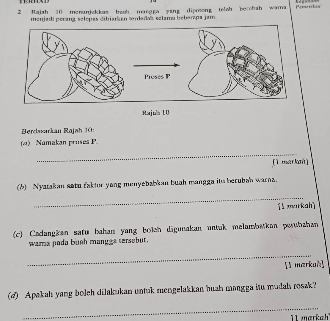 TERHAD 14 
Kegunaan 
2 Rajah 10 menunjukkan buah mangga yang dipotong telah berubah warna Pemeriksa 
menjadi perang selepas dibiarkan terdedah selama beberapa jam. 
Rajah 10 
Berdasarkan Rajah 10: 
(a) Namakan proses P. 
_ 
[1 markah] 
(b) Nyatakan satu faktor yang menyebabkan buah mangga itu berubah warna. 
_ 
[1 markah] 
(c) Cadangkan satu bahan yang boleh digunakan untuk melambatkan perubahan 
warna pada buah mangga tersebut. 
_ 
[1 markah] 
(d) Apakah yang boleh dilakukan untuk mengelakkan buah mangga itu mudah rosak? 
_ 
1 markah