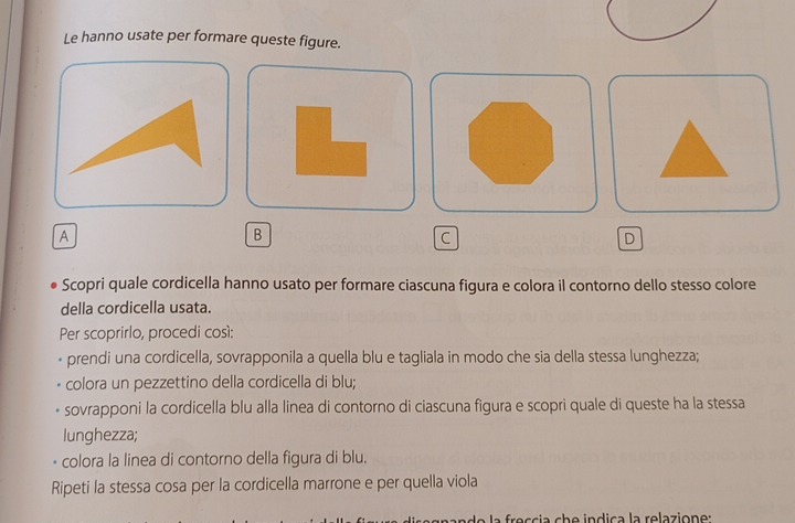 Le hanno usate per formare queste figure. 
A 
B 
C 
D 
Scopri quale cordicella hanno usato per formare ciascuna figura e colora il contorno dello stesso colore 
della cordicella usata. 
Per scoprirlo, procedi così: 
prendi una cordicella, sovrapponila a quella blu e tagliala in modo che sia della stessa lunghezza; 
colora un pezzettino della cordicella di blu; 
sovrapponi la cordicella blu alla linea di contorno di ciascuna figura e scopri quale di queste ha la stessa 
lunghezza; 
colora la linea di contorno della figura di blu. 
Ripeti la stessa cosa per la cordicella marrone e per quella viola 
ade la freccia che indica la relazione: