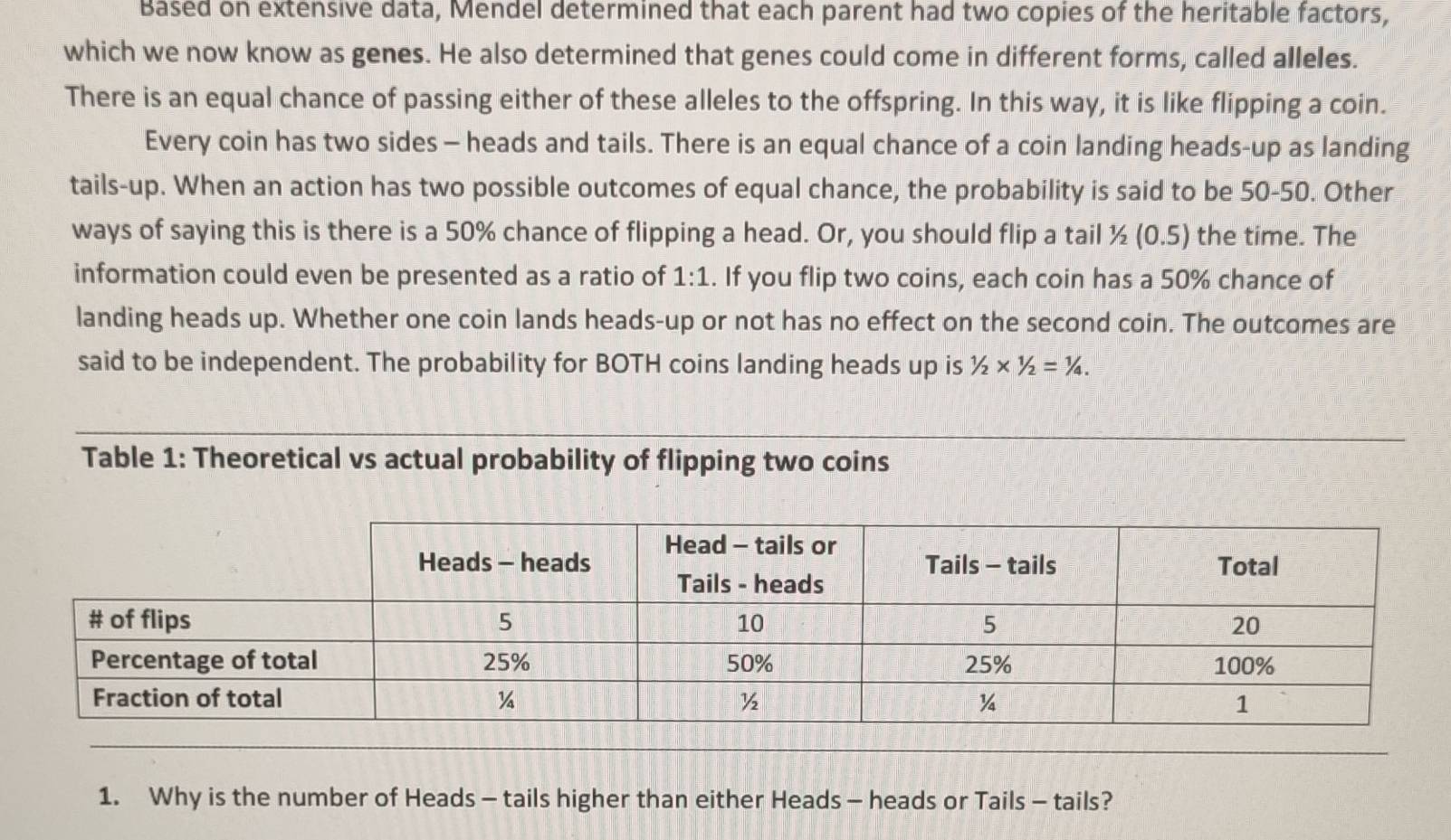 Based on extensive data, Mendel determined that each parent had two copies of the heritable factors, 
which we now know as genes. He also determined that genes could come in different forms, called alleles. 
There is an equal chance of passing either of these alleles to the offspring. In this way, it is like flipping a coin. 
Every coin has two sides - heads and tails. There is an equal chance of a coin landing heads-up as landing 
tails-up. When an action has two possible outcomes of equal chance, the probability is said to be 50-50. Other 
ways of saying this is there is a 50% chance of flipping a head. Or, you should flip a tail ½ (0.5) the time. The 
information could even be presented as a ratio of 1:1.. If you flip two coins, each coin has a 50% chance of 
landing heads up. Whether one coin lands heads-up or not has no effect on the second coin. The outcomes are 
said to be independent. The probability for BOTH coins landing heads up is 1/2* 1/2=1/4. 
Table 1: Theoretical vs actual probability of flipping two coins 
1. Why is the number of Heads - tails higher than either Heads - heads or Tails - tails?