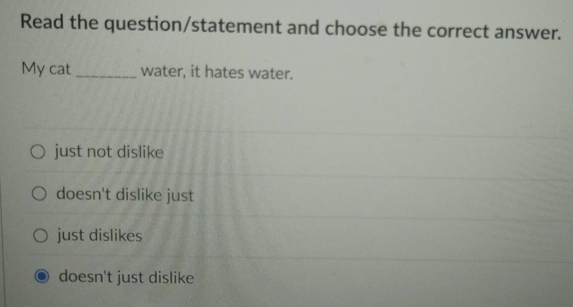 Read the question/statement and choose the correct answer.
My cat _water, it hates water.
just not dislike
doesn't dislike just
just dislikes
doesn't just dislike